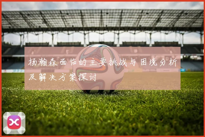 杨瀚森面临的主要挑战与困境分析及解决方案探讨